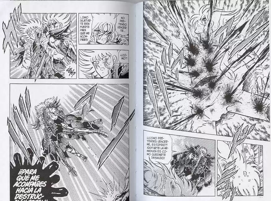 Saint Seiya capítulo 98 página 15