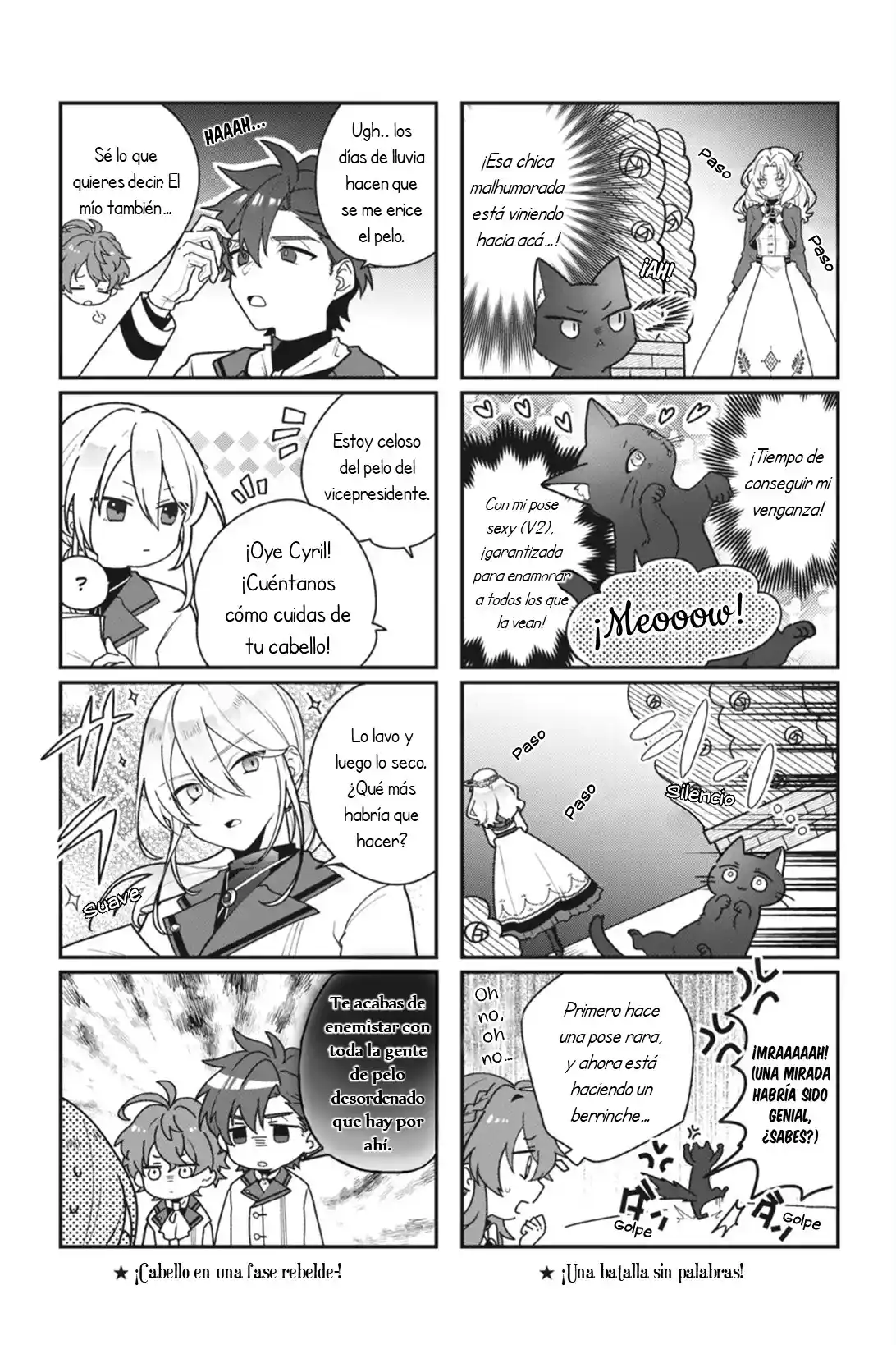 Secrets Of The Silent Witch - Capítulo 8.5 - Página 4 - LectorTMOo
