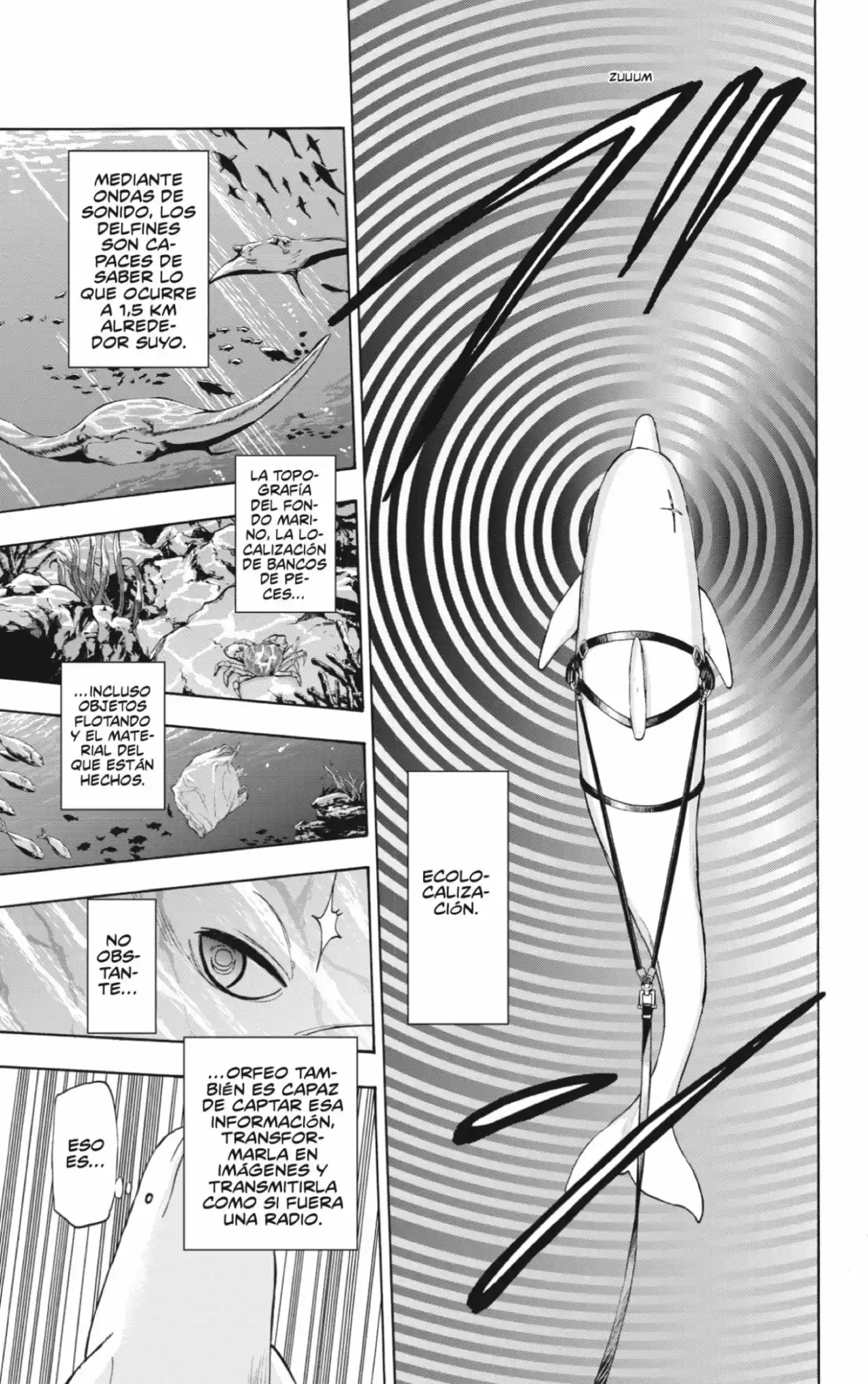Shakunetsu No Niraikanai - Capítulo 24 - Página 13 - LectorTMOo
