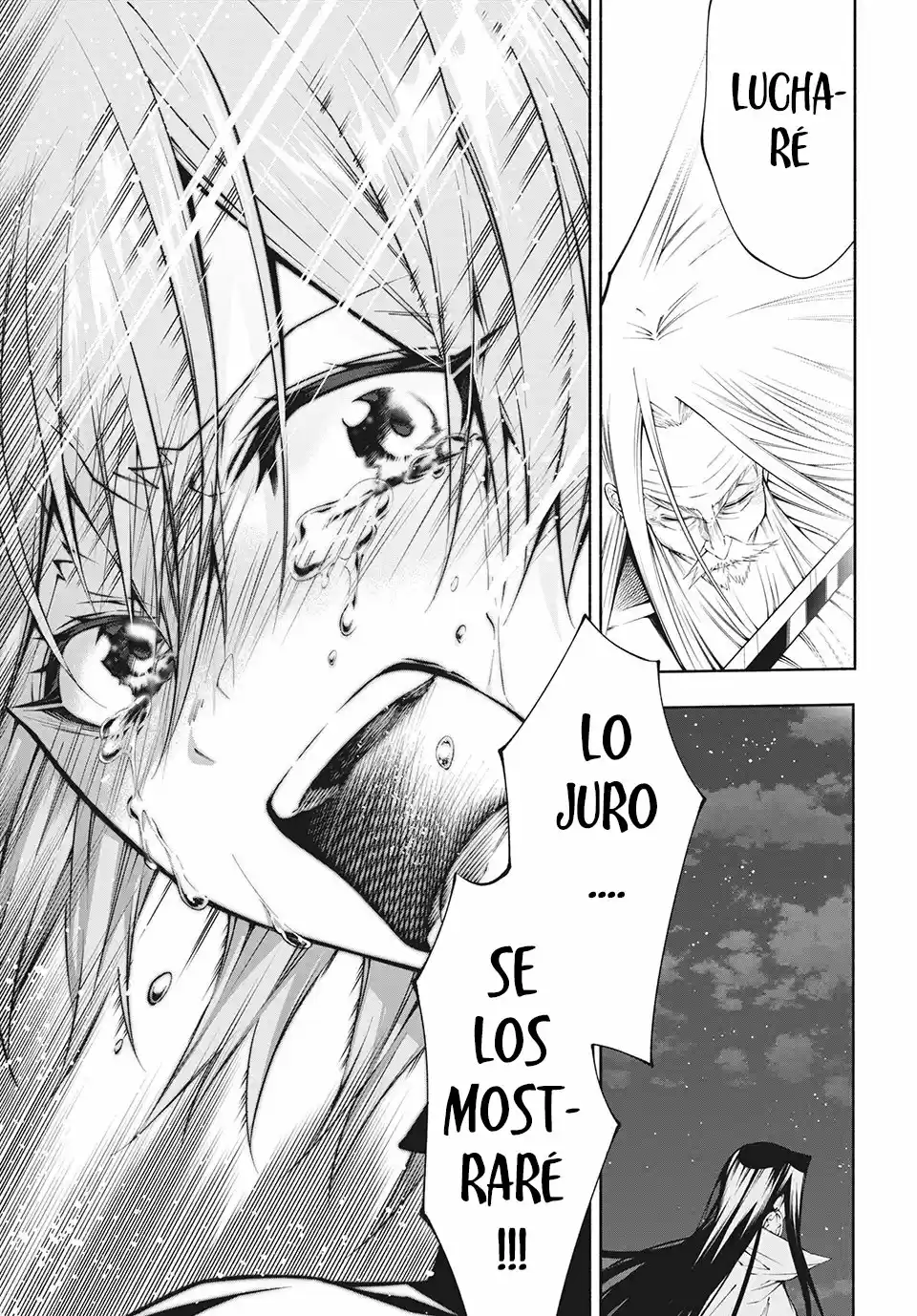 Shaman King & A Garden - Capítulo 5 - Página 25 - LectorTMOo