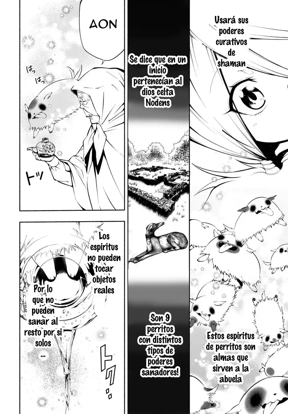 Shaman King & A Garden - Capítulo 6 - Página 13 - LectorTMOo