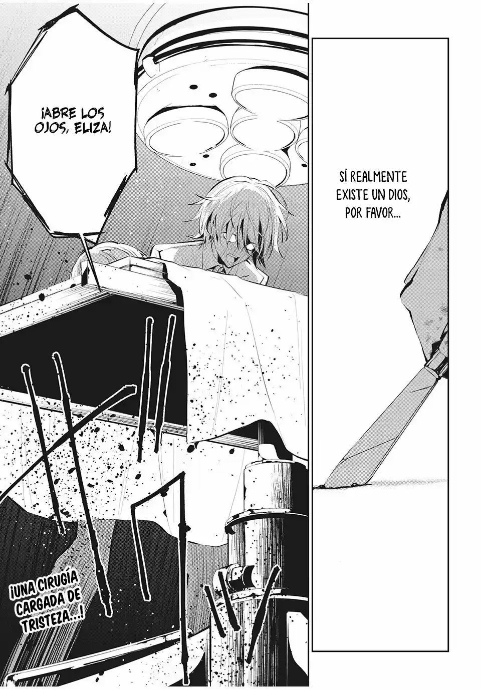 Shaman King Flowers - Capítulo 12 - Página 13 - LectorTMOo