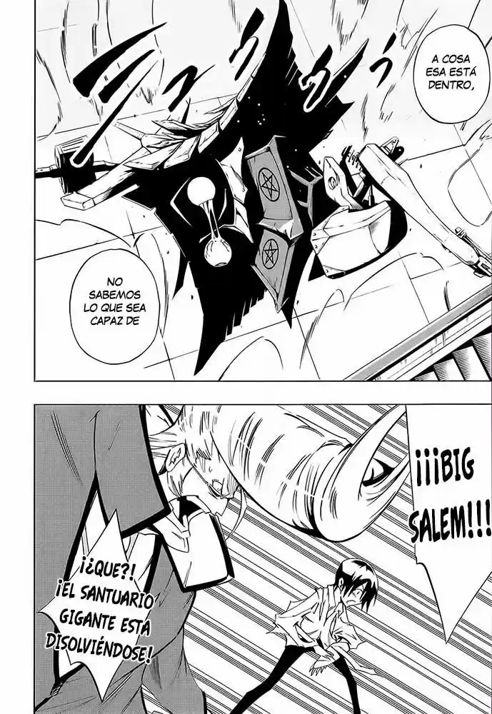 Shaman King Flowers - Capítulo 11 - Página 15 - LectorTMOo