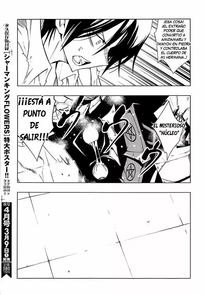 Shaman King Flowers - Capítulo 11 - Página 16 - LectorTMOo
