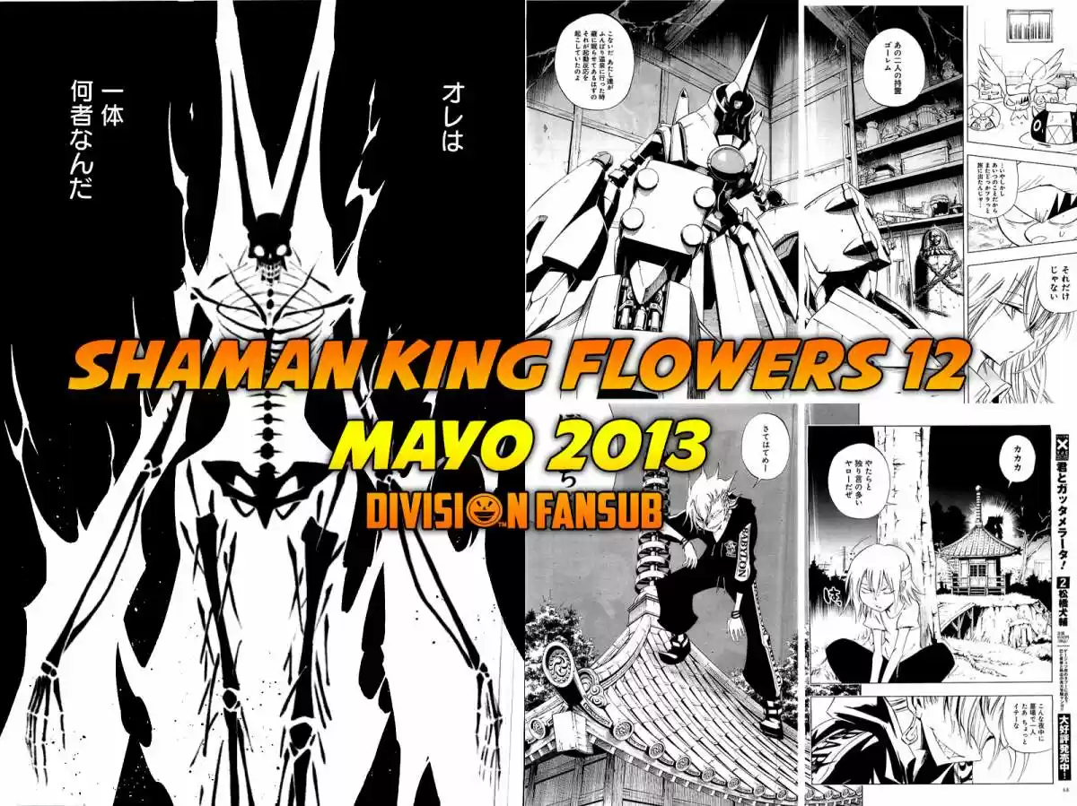 Shaman King Flowers - Capítulo 11 - Página 45 - LectorTMOo
