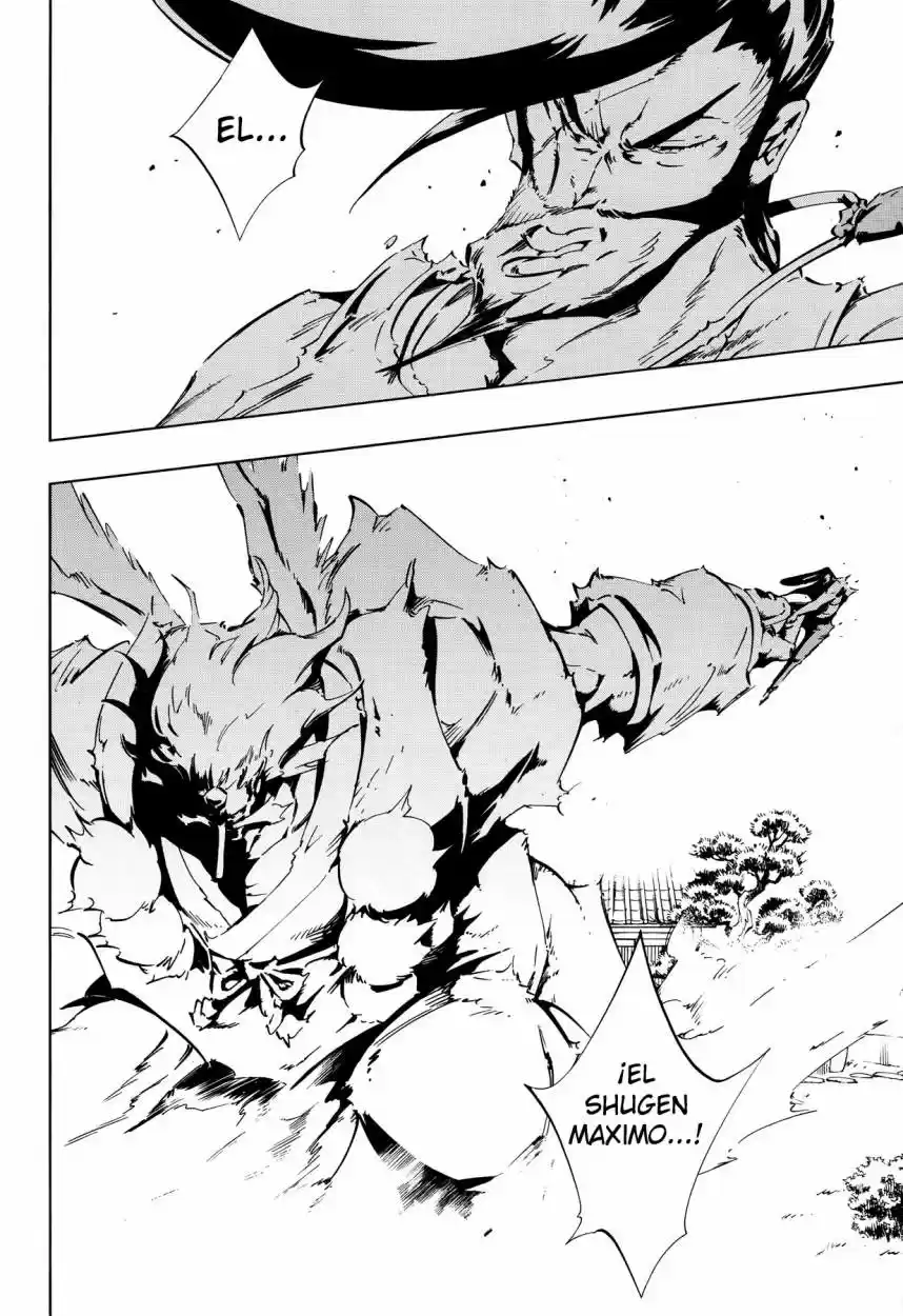 Shaman King Flowers - Capítulo 26 - Página 12 - LectorTMOo