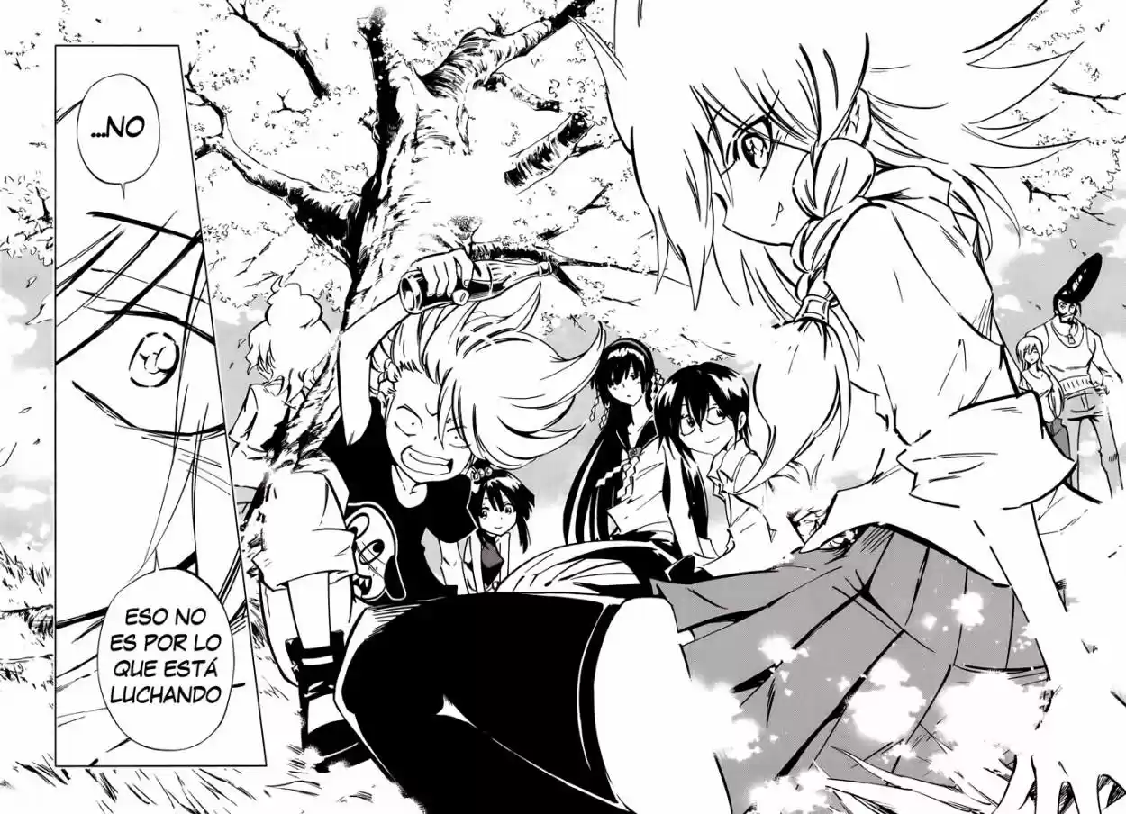 Shaman King Flowers - Capítulo 29 - Página 27 - LectorTMOo