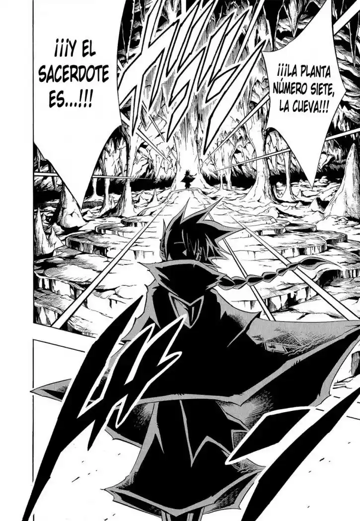 Shaman King KangZengBang - Capítulo 290 - Página 11 - LectorTMOo