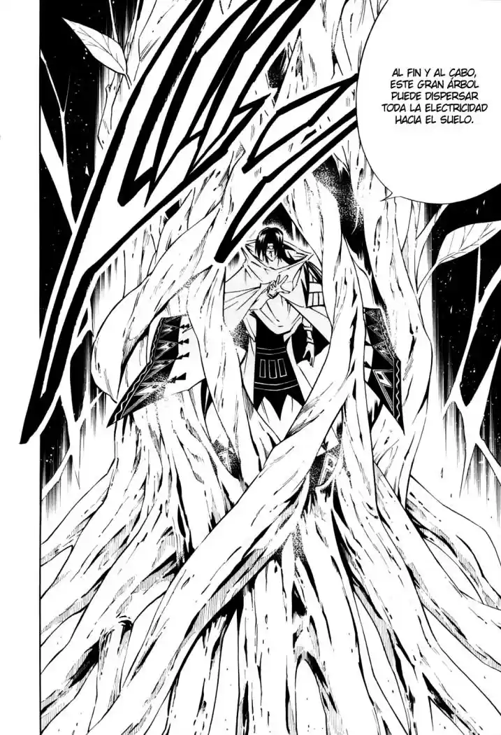 Shaman King KangZengBang - Capítulo 292 - Página 13 - LectorTMOo