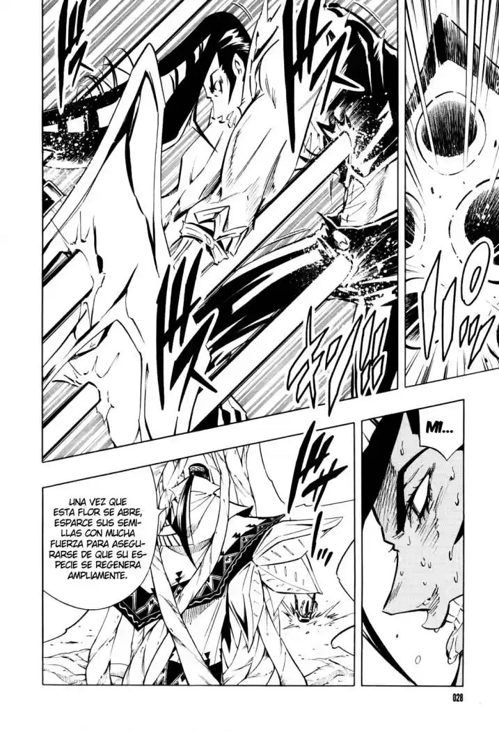 Shaman King KangZengBang - Capítulo 292 - Página 19 - LectorTMOo