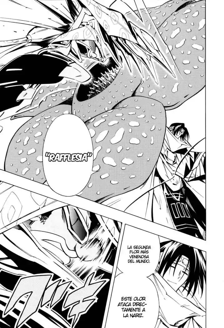 Shaman King KangZengBang - Capítulo 293 - Página 6 - LectorTMOo