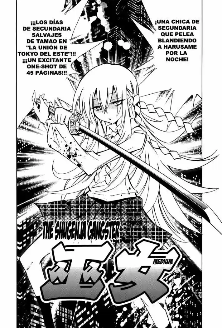 Shaman King Yahabe - Capítulo 10 - Página 8 - LectorTMOo