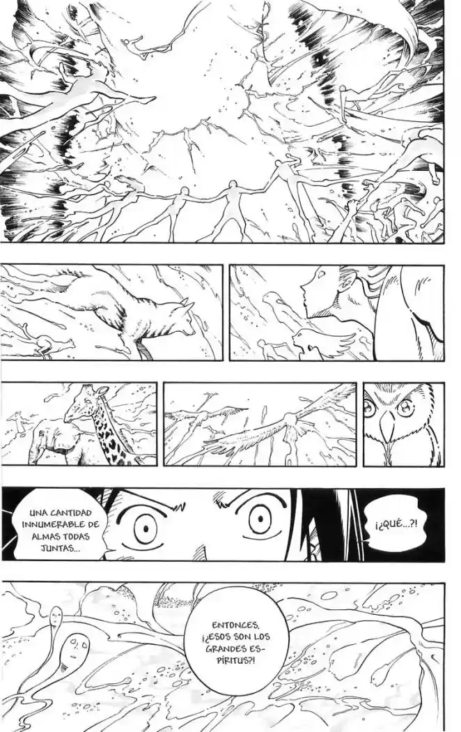 Shaman King - Capítulo 108 - Página 15 - LectorTMOo