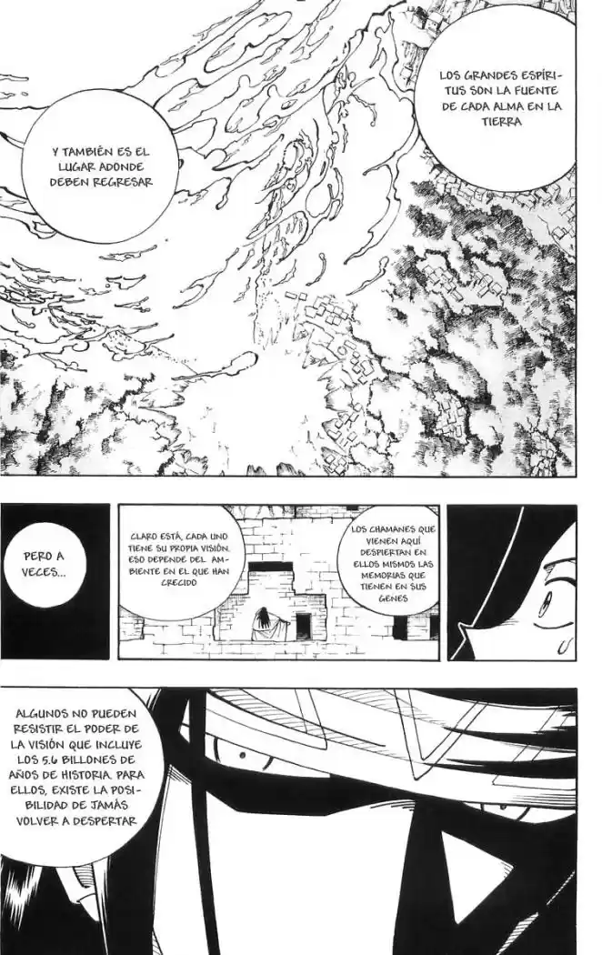 Shaman King - Capítulo 108 - Página 17 - LectorTMOo