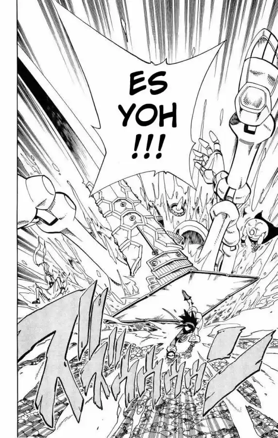 Shaman King - Capítulo 153 - Página 4 - LectorTMOo