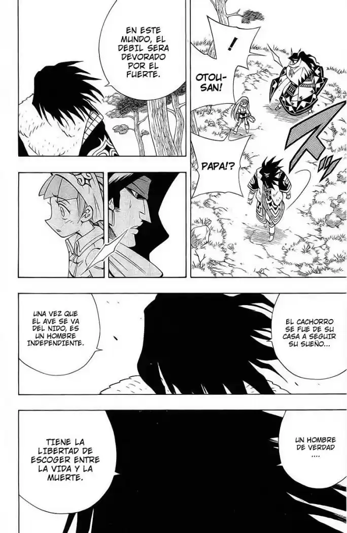 Shaman King - Capítulo 183 - Página 13 - LectorTMOo