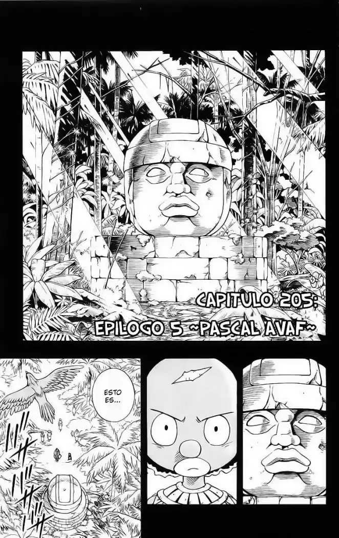 Shaman King - Capítulo 205 - Página 1 - LectorTMOo