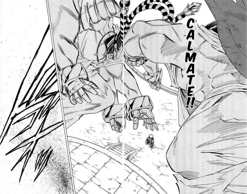 Shaman King - Capítulo 226 - Página 13 - LectorTMOo