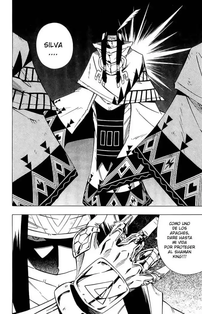 Shaman King - Capítulo 243 - Página 15 - LectorTMOo