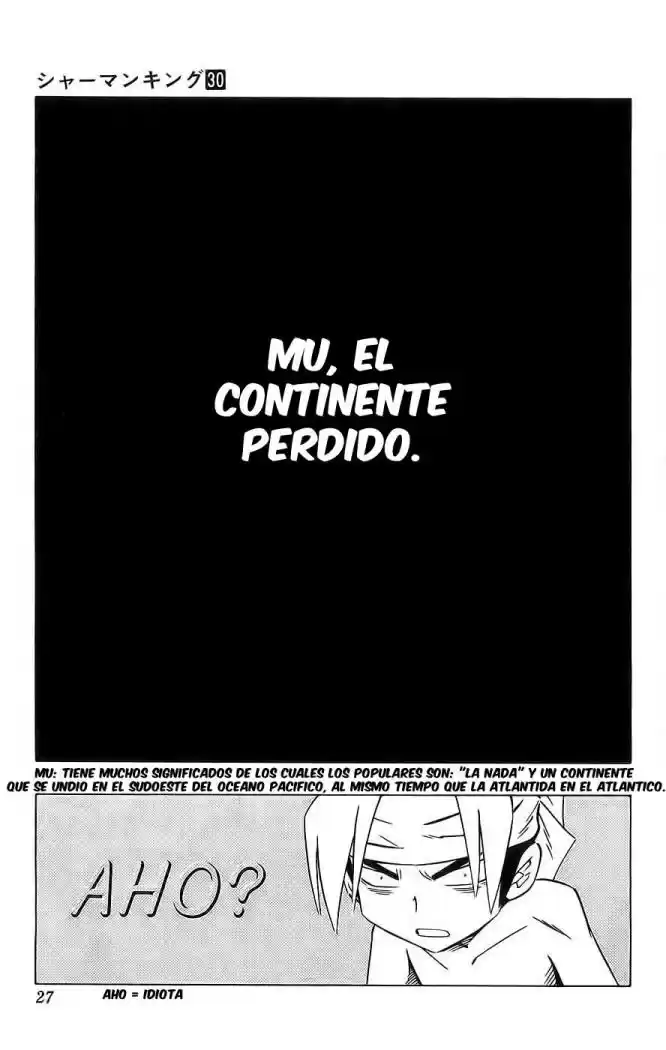 Shaman King - Capítulo 258 - Página 21 - LectorTMOo