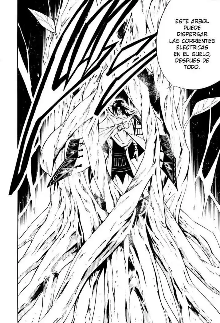 Shaman King - Capítulo 292 - Página 16 - LectorTMOo