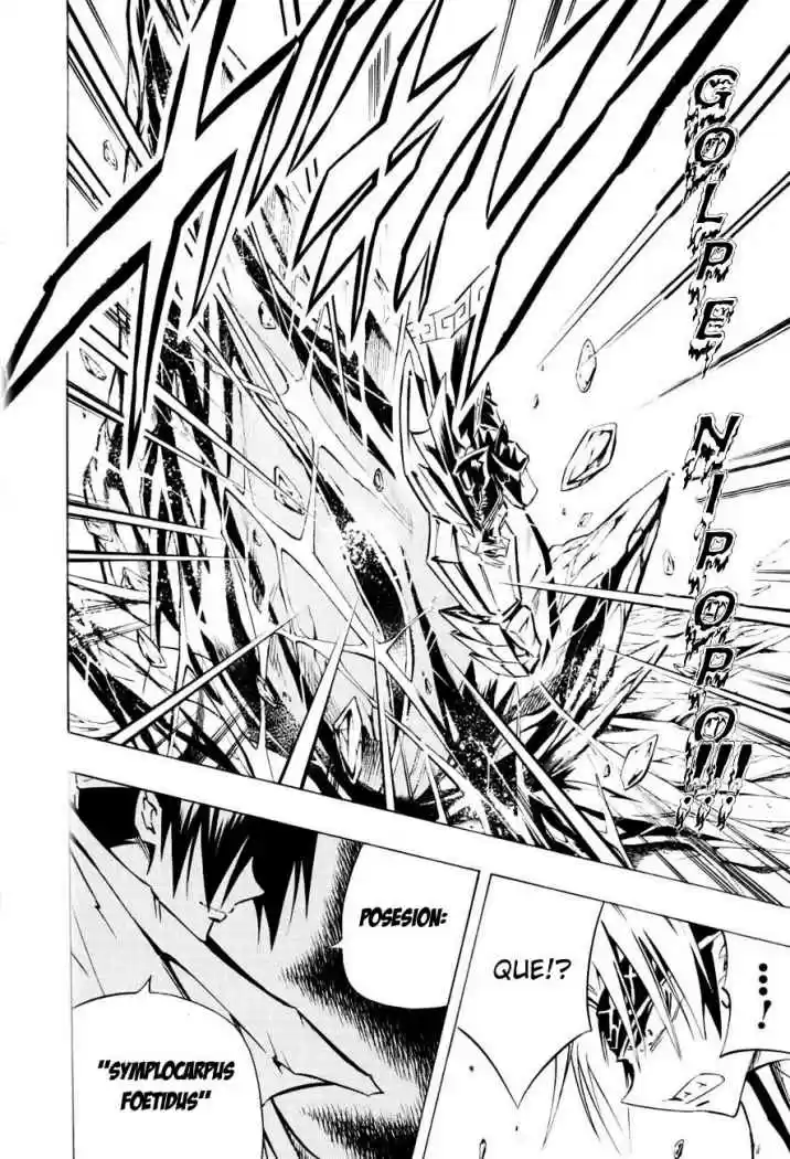 Shaman King - Capítulo 292 - Página 18 - LectorTMOo