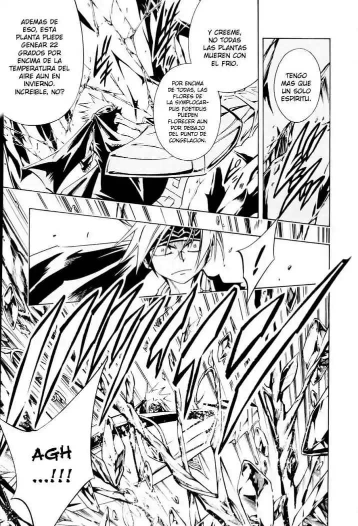 Shaman King - Capítulo 292 - Página 19 - LectorTMOo