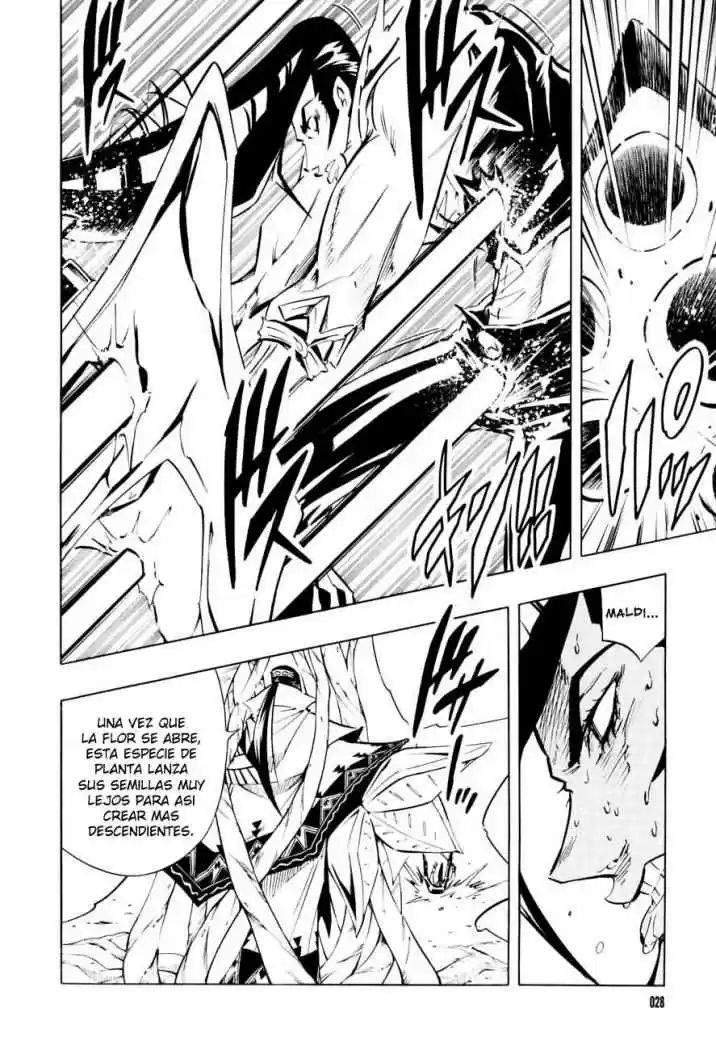 Shaman King - Capítulo 292 - Página 22 - LectorTMOo