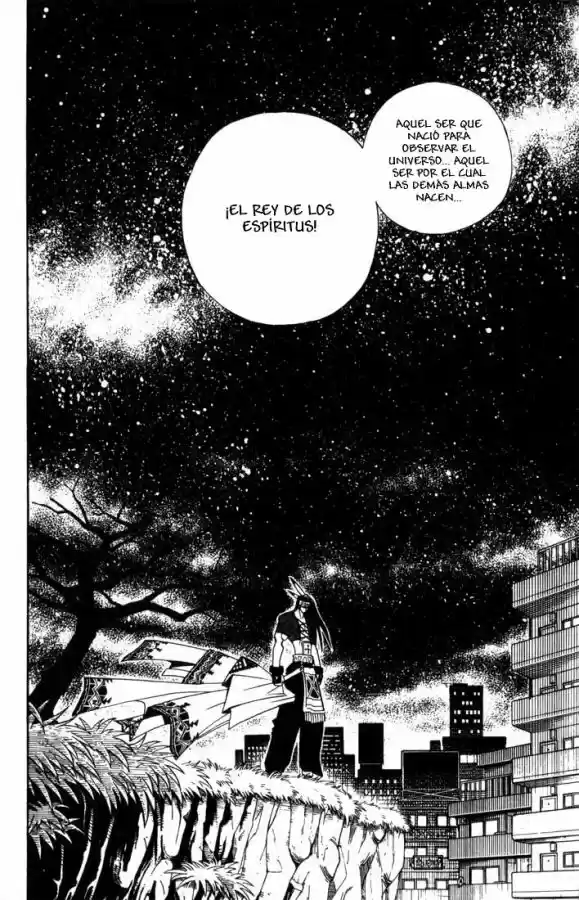 Shaman King - Capítulo 31 - Página 13 - LectorTMOo