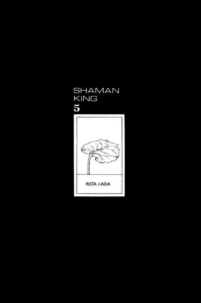 Shaman King - Capítulo 39 - Página 16 - LectorTMOo