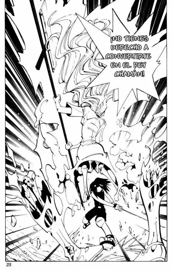 Shaman King - Capítulo 45 - Página 24 - LectorTMOo
