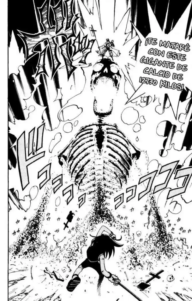 Shaman King - Capítulo 46 - Página 14 - LectorTMOo