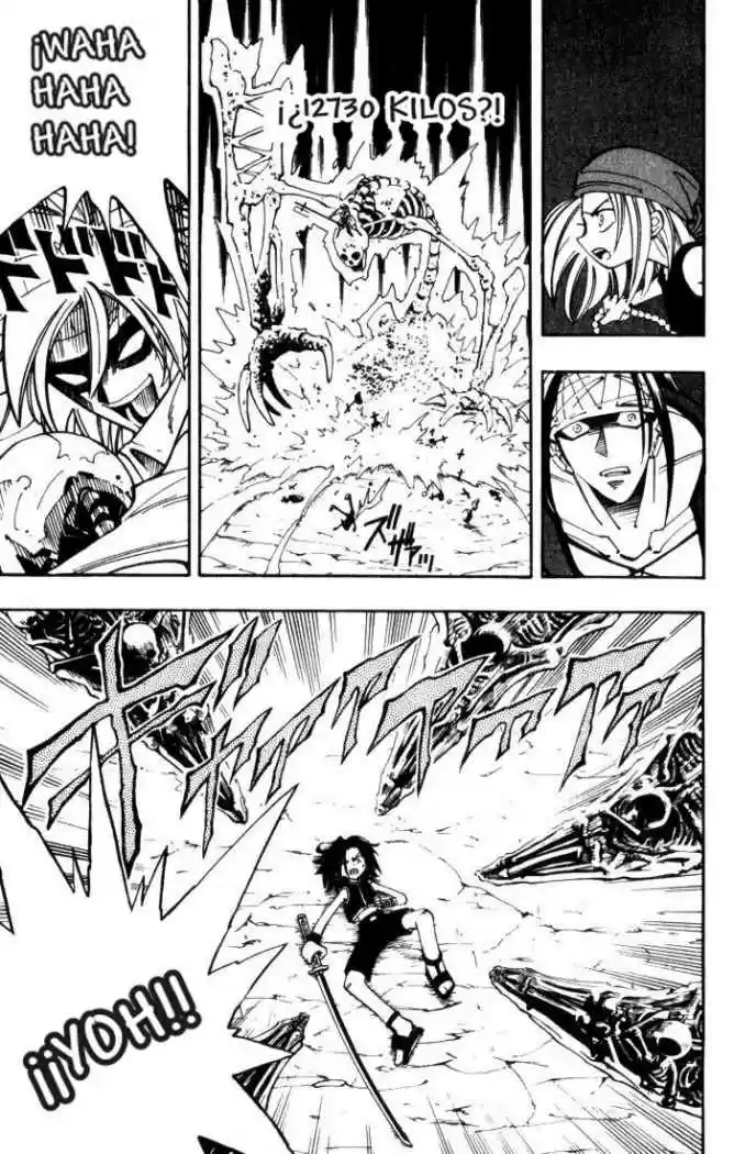 Shaman King - Capítulo 46 - Página 15 - LectorTMOo