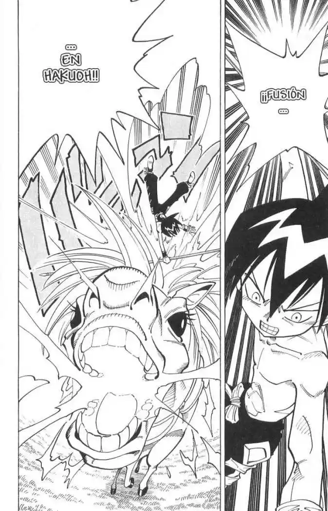 Shaman King - Capítulo 62 - Página 5 - LectorTMOo