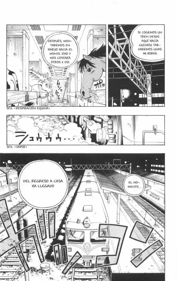 Shaman King - Capítulo 68 - Página 11 - LectorTMOo