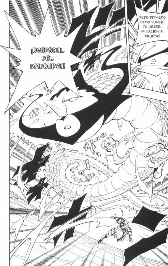 Shaman King - Capítulo 75 - Página 17 - LectorTMOo