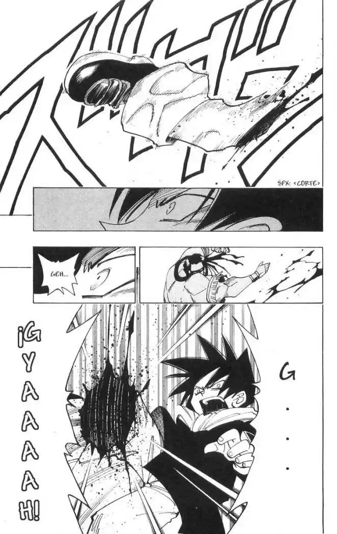Shaman King - Capítulo 82 - Página 11 - LectorTMOo