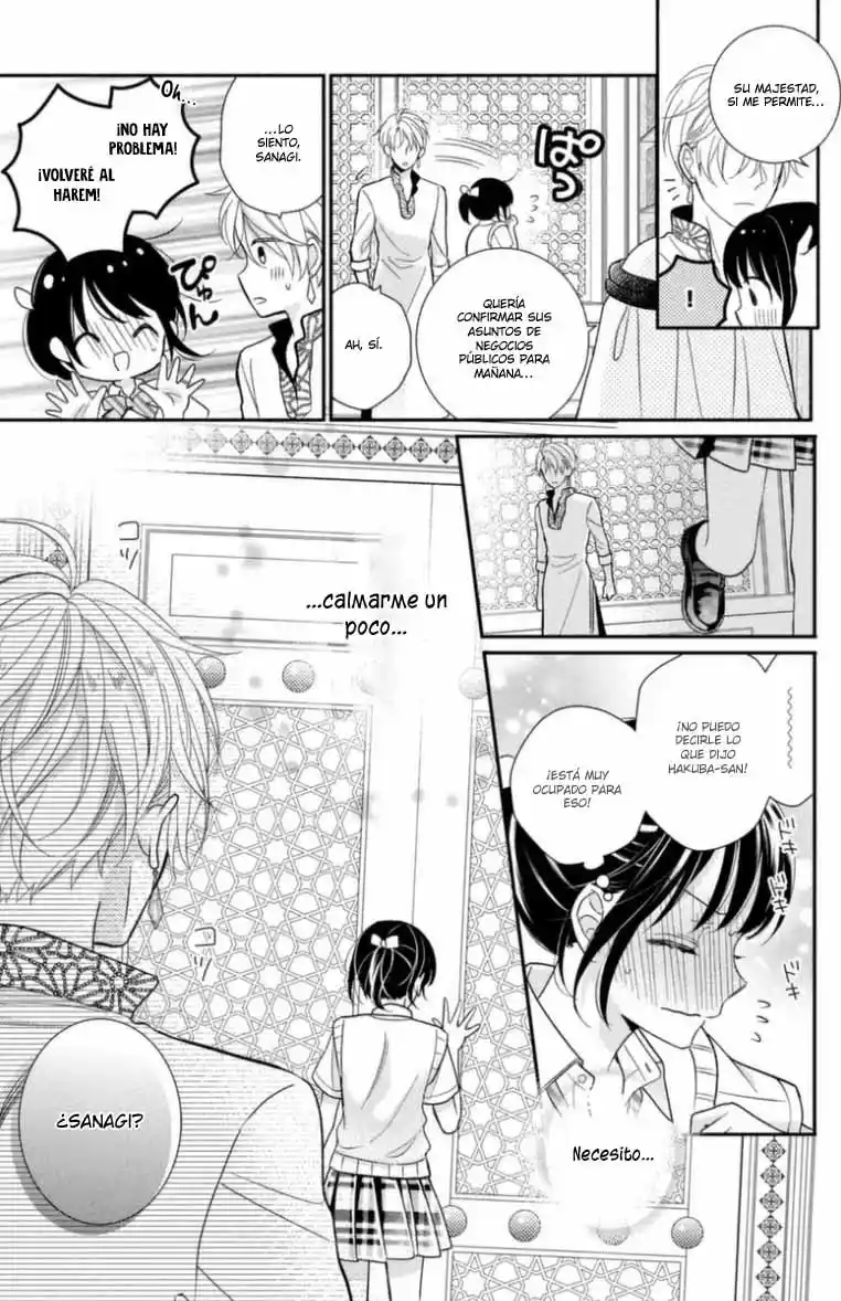 Sheik-sama To Harem De - Capítulo 24 - Página 29 - LectorTMOo