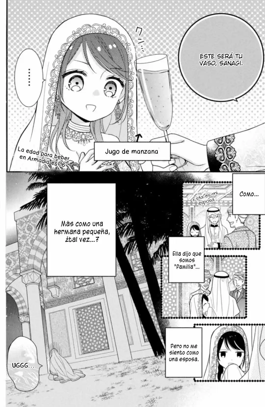 Sheik-sama To Harem De - Capítulo 30.5 - Página 14 - LectorTMOo