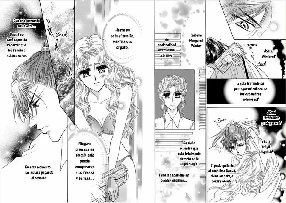 Sheikh No Ryakudatsu Ai - Capítulo 1 - Página 17 - LectorTMOo