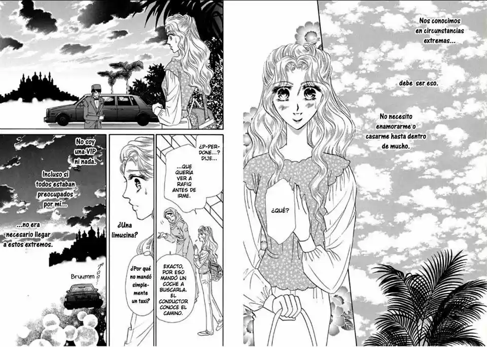 Sheikh No Ryakudatsu Ai - Capítulo 1 - Página 25 - LectorTMOo