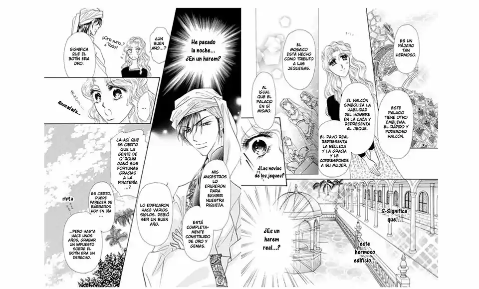 Sheikh No Ryakudatsu Ai - Capítulo 1 - Página 37 - LectorTMOo