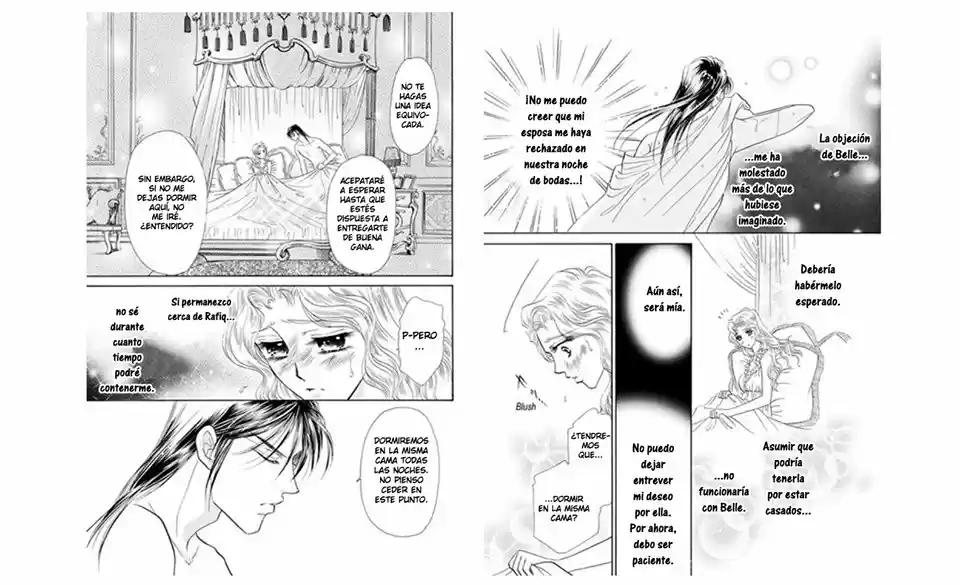 Sheikh No Ryakudatsu Ai - Capítulo 1 - Página 52 - LectorTMOo