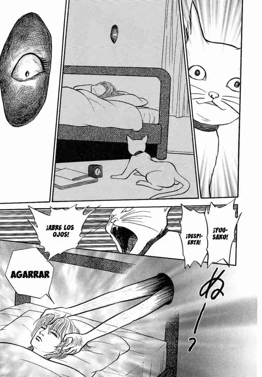 Shi To Kanojo To Boku - Capítulo 30 - Página 51 - LectorTMOo