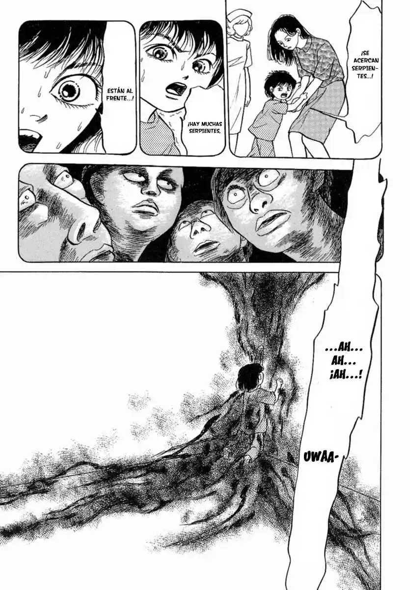 Shi To Kanojo To Boku - Capítulo 32 - Página 67 - LectorTMOo