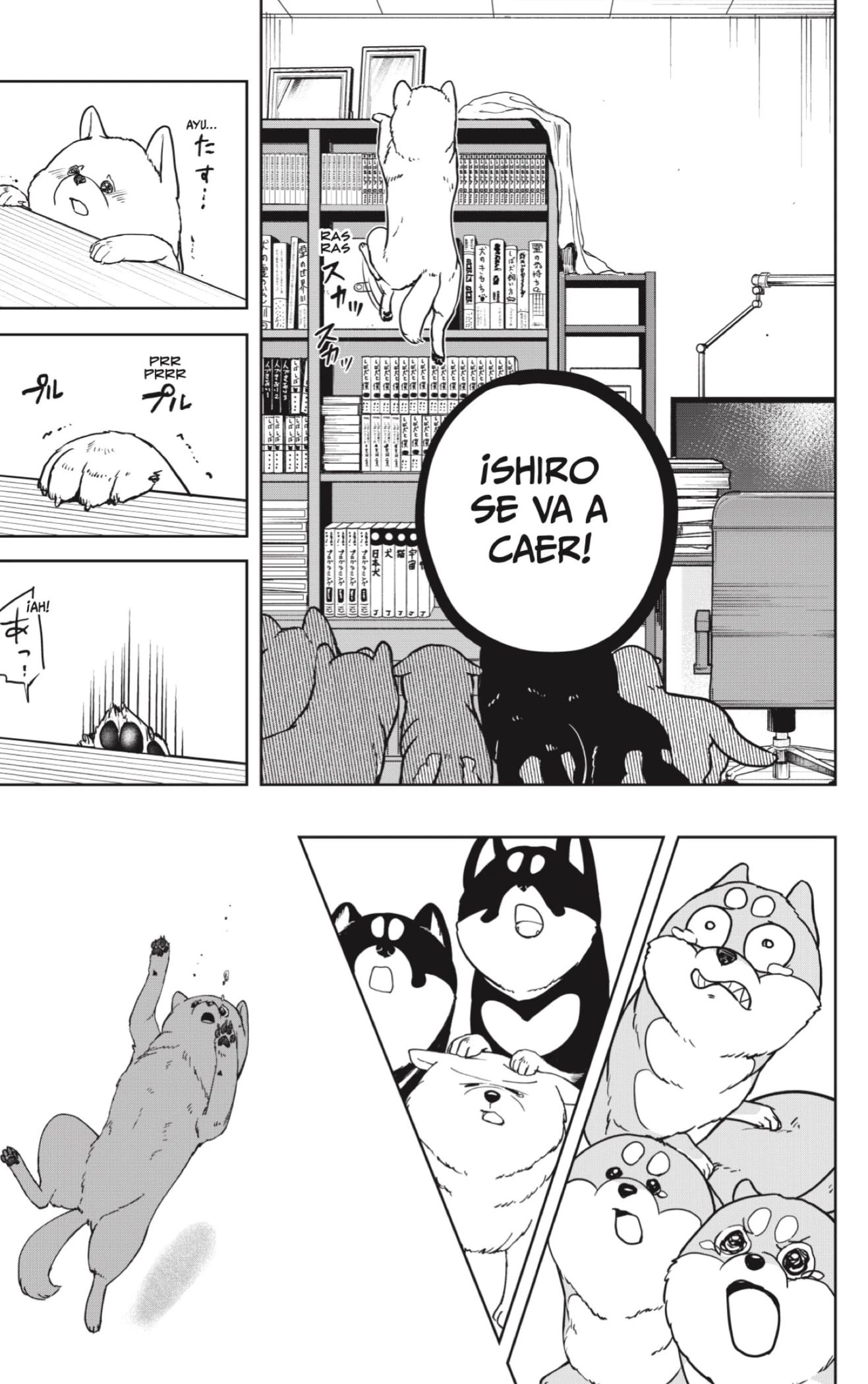 Shibatsuki Bukken - Capítulo 10 - Página 21 - LectorTMOo
