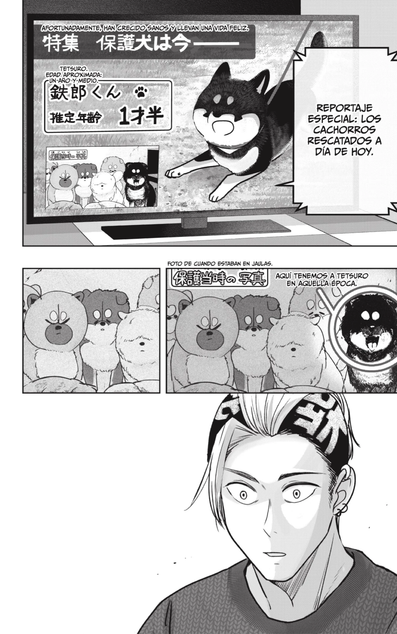 Shibatsuki Bukken - Capítulo 18 - Página 8 - LectorTMOo