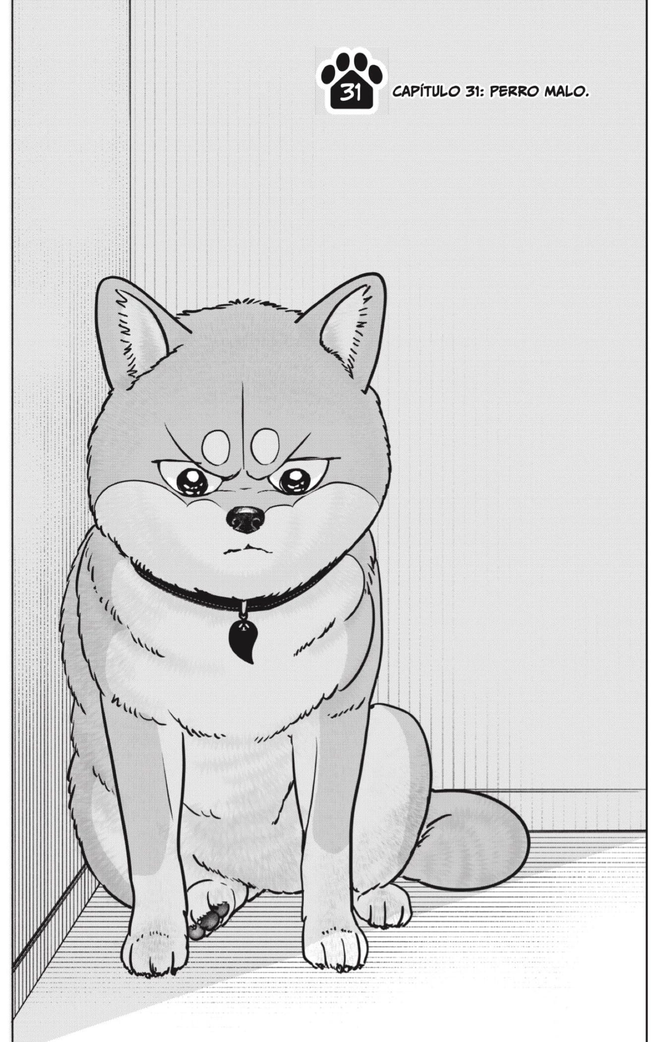 Shibatsuki Bukken - Capítulo 31 - Página 9 - LectorTMOo