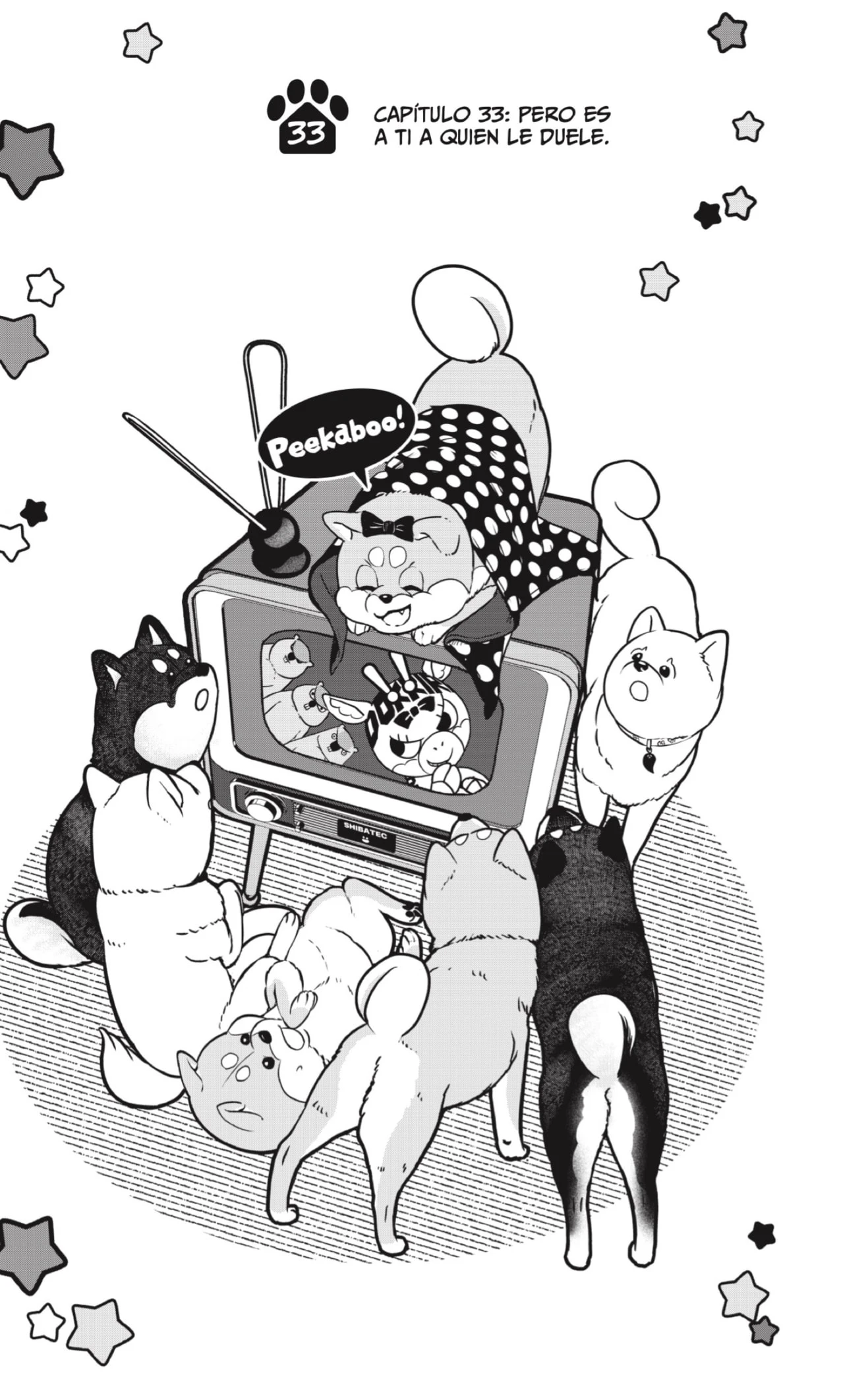Shibatsuki Bukken - Capítulo 33 - Página 3 - LectorTMOo