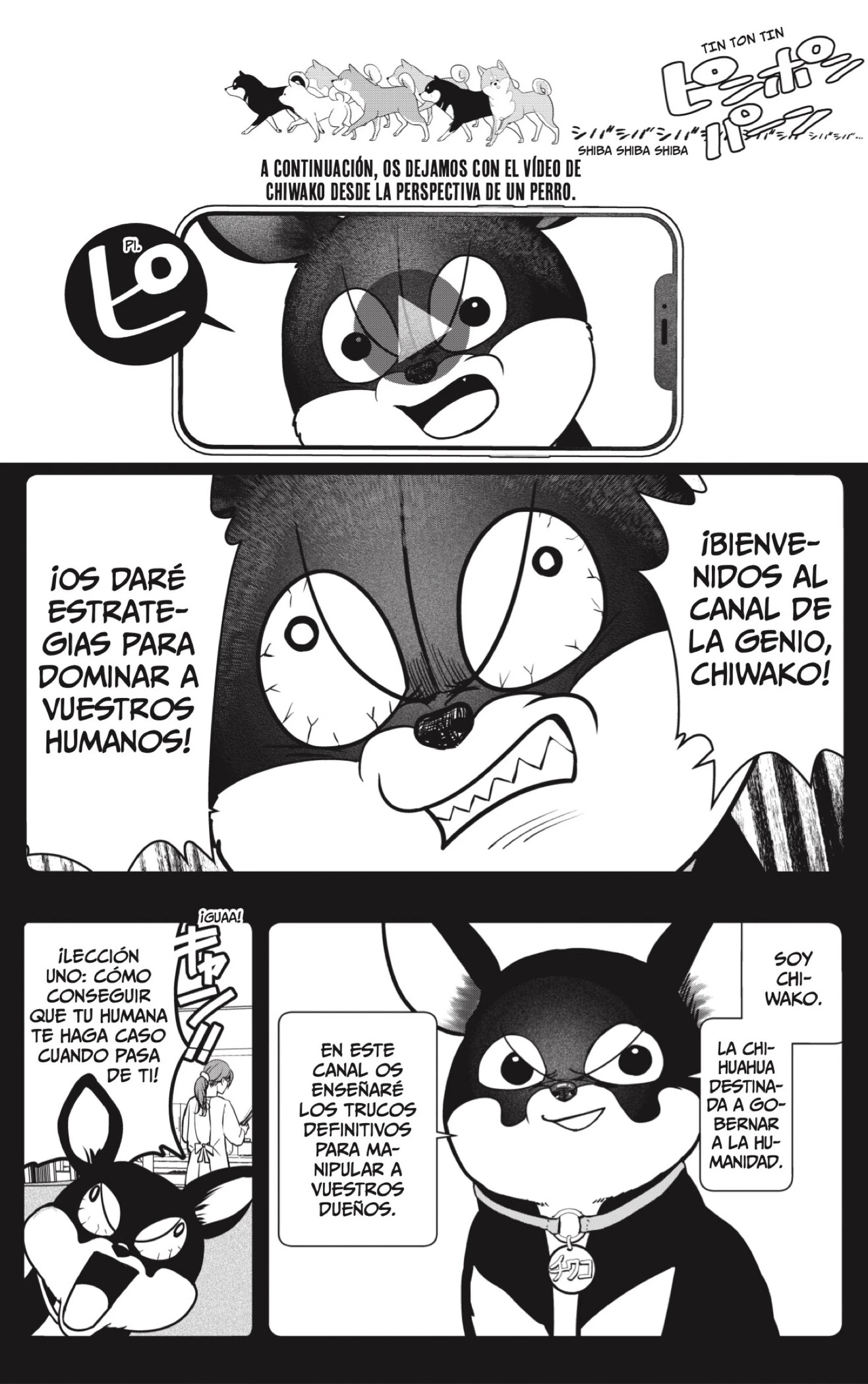 Shibatsuki Bukken - Capítulo 52 - Página 12 - LectorTMOo